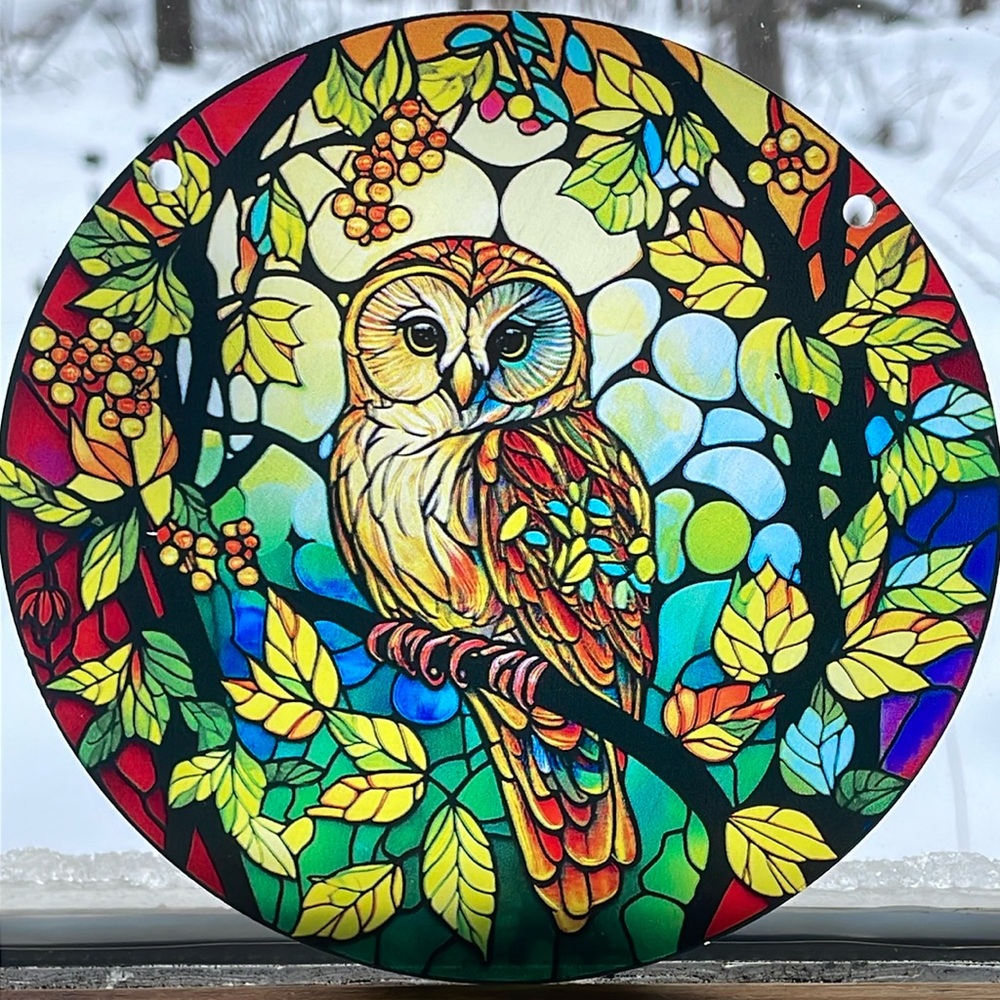 Suncatcher Owl Bird Acrylic 6” Decorative Home Office Cabin Gifts New